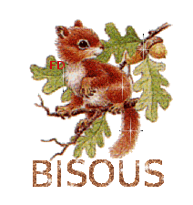 Gif animé bisous ecureuil